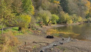 Ferienwohnung am Maarberg in Ulmen - Foto 5
