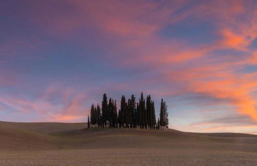 Agriturismo Poggio Tobruk - Foto 9