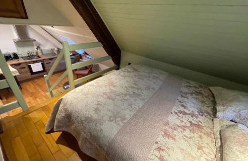 Gîte marguerite - Foto 19