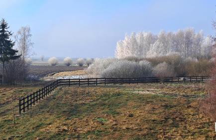Mazury Lake House Sailing & Spa - Foto 44