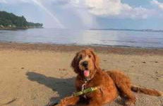 Charming Downtown Gem. 2 minutes to Salem. Workspace Included - Photo 12