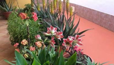 Villette SteVi Lampedusa - Foto 3