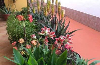 Villette SteVi Lampedusa - Foto 3