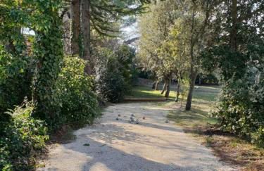 le Gecko en Provence - Foto 31