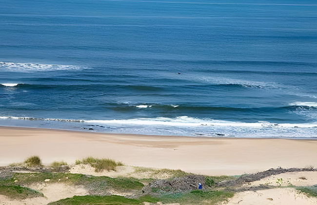 Oceana Suites Playa Brava - Photo 33