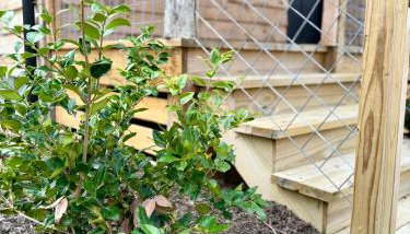 Deer Trail - Photo 4