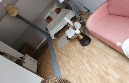 Gîte Animals King'Dôme 8min du Zoo de Beauval - Foto 46