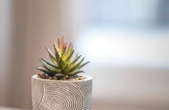 LILY apartment - Flexible SelfCheckins 48- Luxury- Extra big terrace with jacuzzi - Foto 8