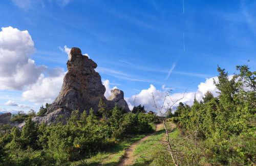 Suite Curry - Photo 16