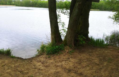 Villa Grunwald - Foto 25