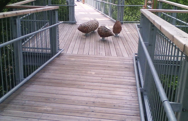 Ferienwohnung Stricker Bad Sachsa - Foto 13