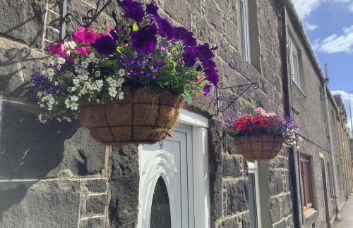 The Garden Flat - Photo 3