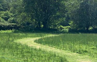 Little Norton Mill - Photo 35