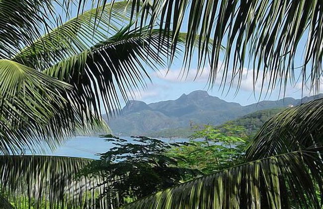 La Residence - Photo 64