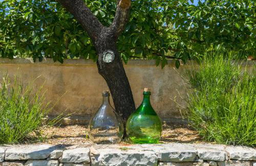 Villa Paulina -an authentic sense of Istrian life - Photo 58