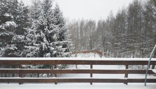 Agrosfera dom relaksacyjny - Foto 3