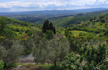 Casa Renacci - Foto 17