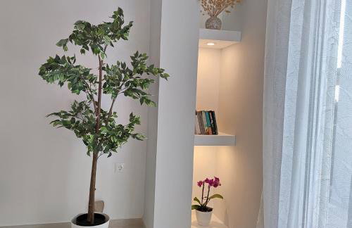 VILLA EKTAMA - Foto 7