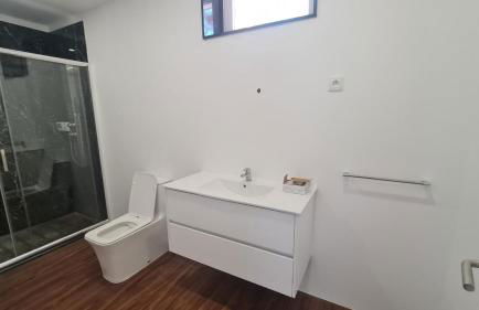 Pinheiro Manso - Foto 21