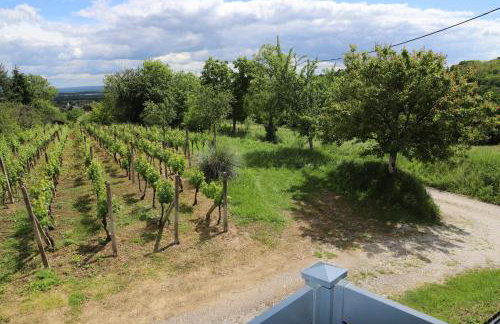 Kuća u prirodi, wellness oaza Kalimera - Foto 15