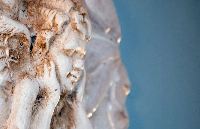 Country House Federico I - Photo 7