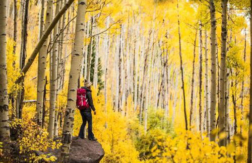 New Listing 2BR 2BA Condo - Mountain Views - Foto 70