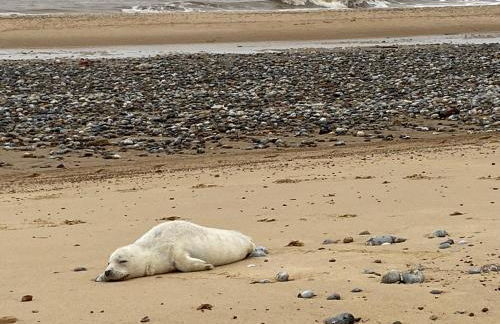 Driftwood WINTERTON VALLEY ESTATE Dog Friendly - Foto 23