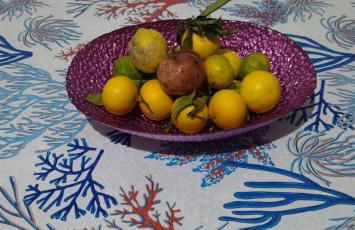 Il Casadduoglio 31 - Foto 21