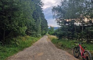 Beskidzki Zakątek Krynica-Zdrój - Photo 55