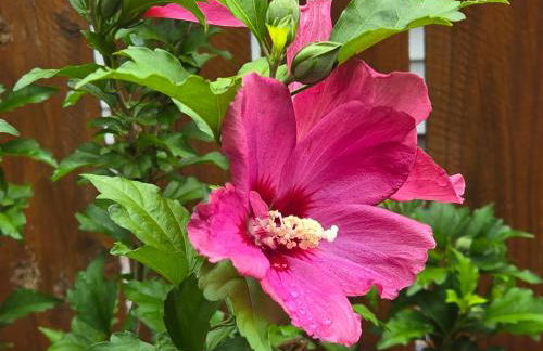 Private Master Suite for Solo Travelers and Pros - Foto 40