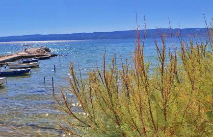 Sandy Beach Apartments - Foto 22