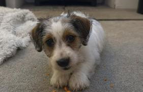 April Cottage - Foto 17