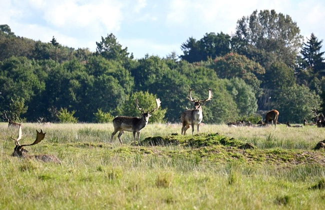 6 Person Holiday Park Home in Middelfart - Photo 18