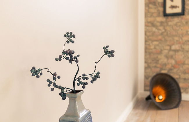 OSTKÜSTE - Villa Albatros Design Apartments - Foto 39