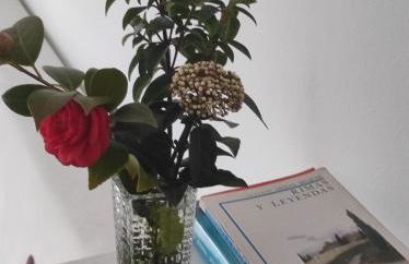 Apartamentos Atenea Jerte - Foto 38