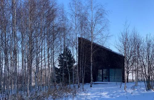 Drewniany dom w brzozowisku - Foto 18