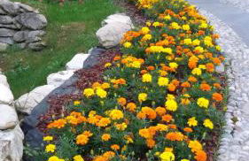 Il Sogno Della Vita AgriResort - Country Rooms & Suites - Foto 65