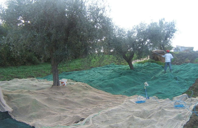 Agriturismo Il Vecchio Carro - Foto 44