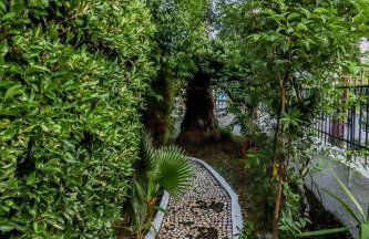 Calma Luxury Apartments #3 Sozopoli in Halkidiki - Foto 28