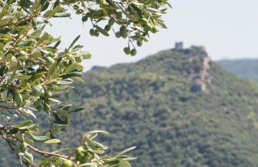 VILLA NIKOLETTA - Photo 49