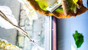 4-Bett-Zimmer, Nertha - Foto 2