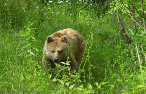 La Casa Sul Lago - Foto 70