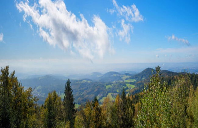 Apartment Near the Bavarian Forest - Foto 36