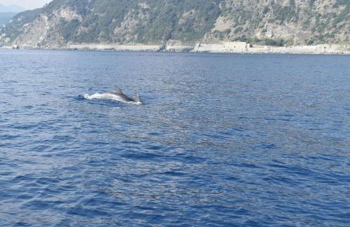 TAVERNETTA 109 TERRAZZA TRA LE 5 TERRE E PORTOFINO - Foto 15