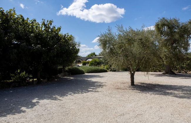 Esclusiva Tenuta Salentina - Foto 47