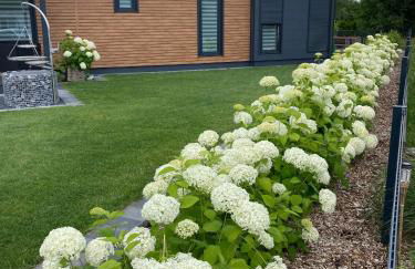 Seepark Cox ️️️️ - Foto 16