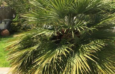 Rodia Studios & Apartments - Foto 45