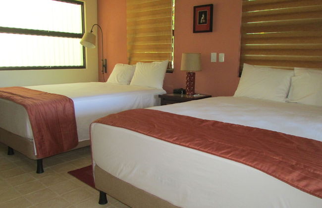 Portasol Living - Photo 9