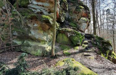 Ferienwohnung Schloss Fischbach - Foto 36