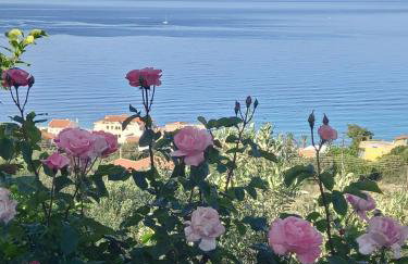 Naiad Sea View Studio - Foto 33